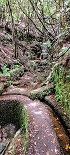 Plants: image 43 Of 208 Thumb
